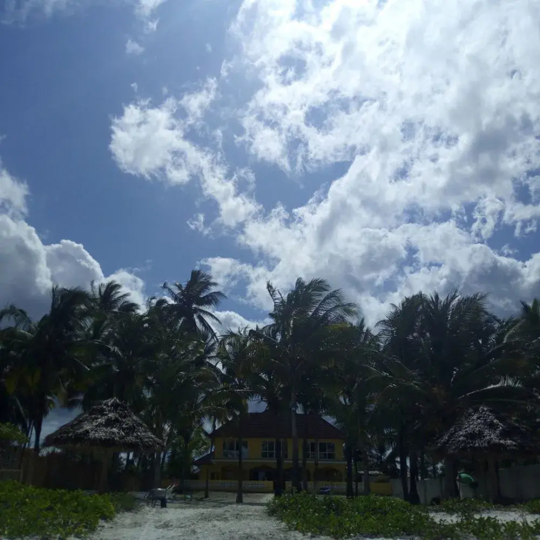 Bwejuu Beach Palm Villa