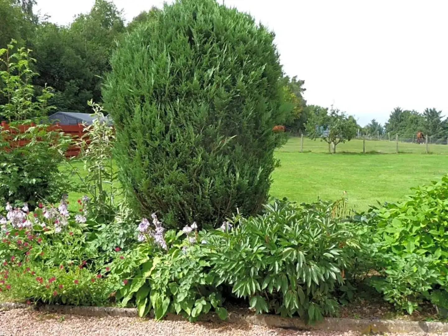 Ordieview Bed And Breakfast