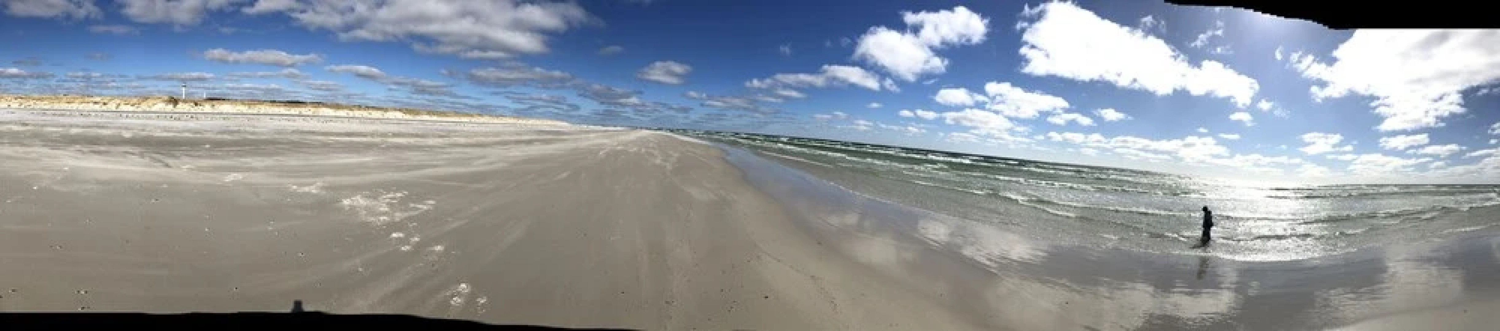 Myregaard B&B & Apartments