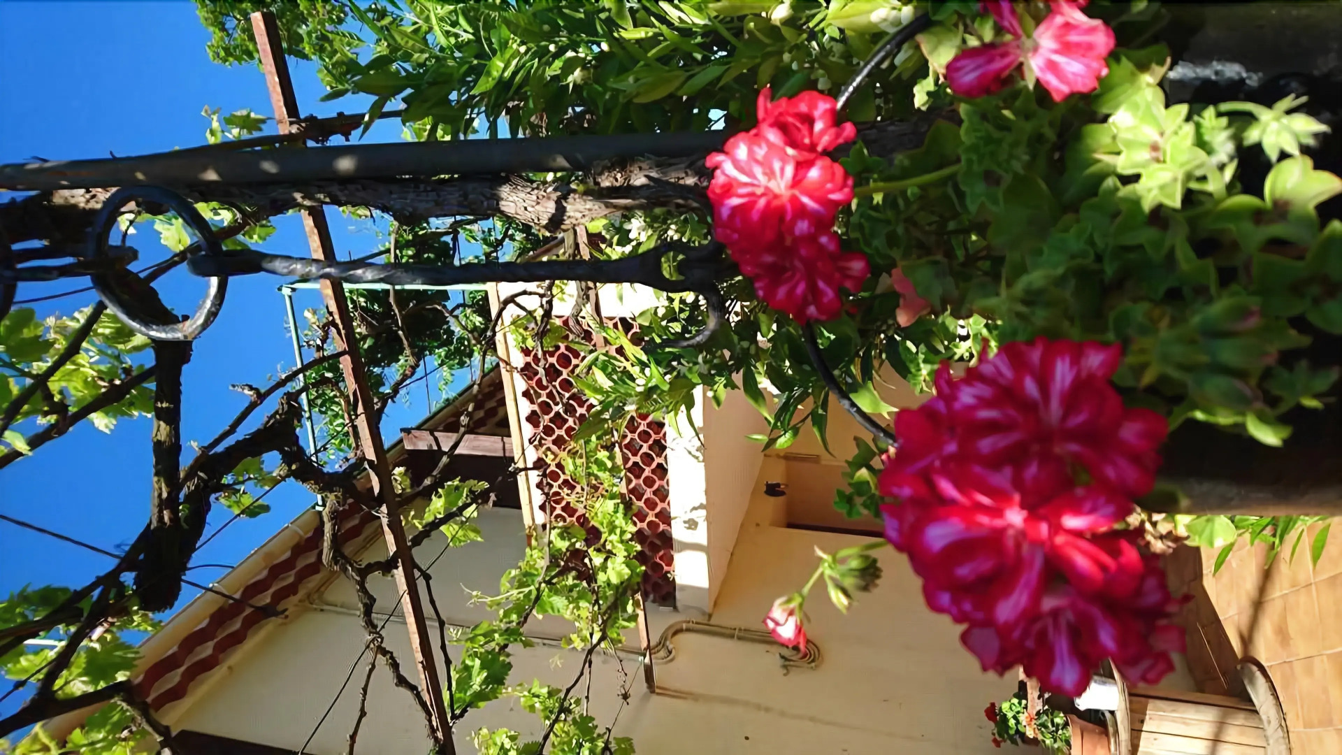 Les Prairies Mas Roux