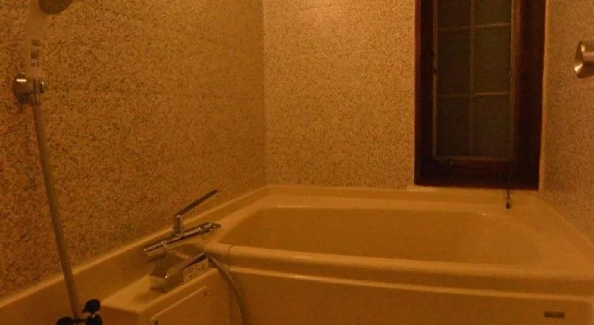 Country Hotel Red Fox