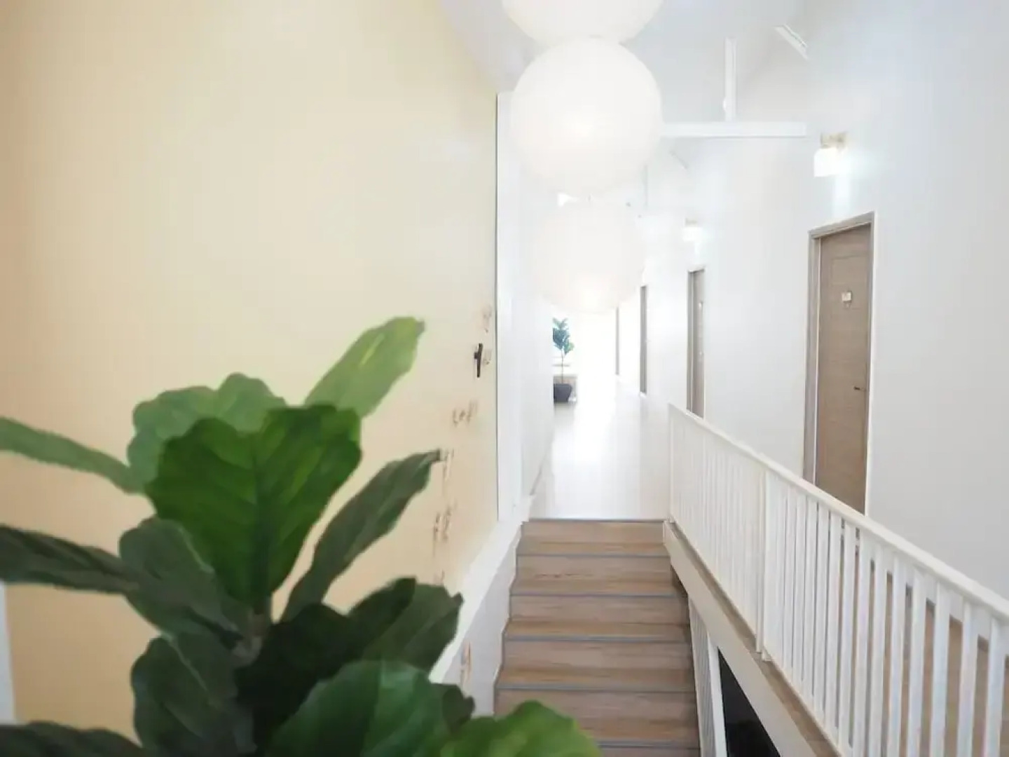 Nornnuea at Inthanon