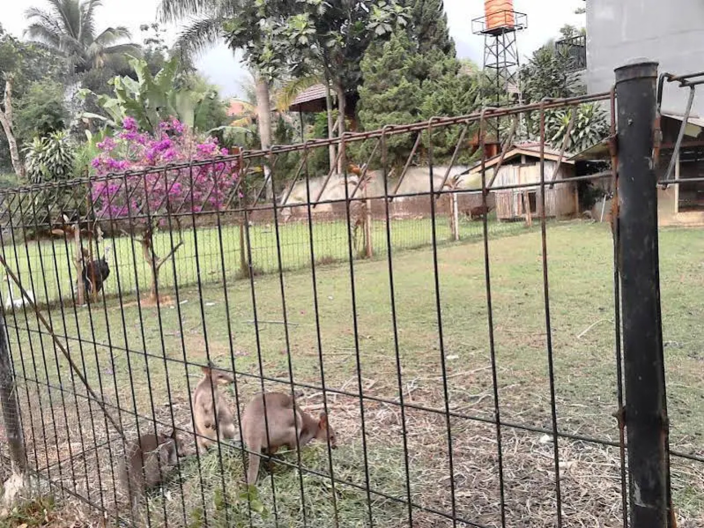 Aquarius Orange Resort