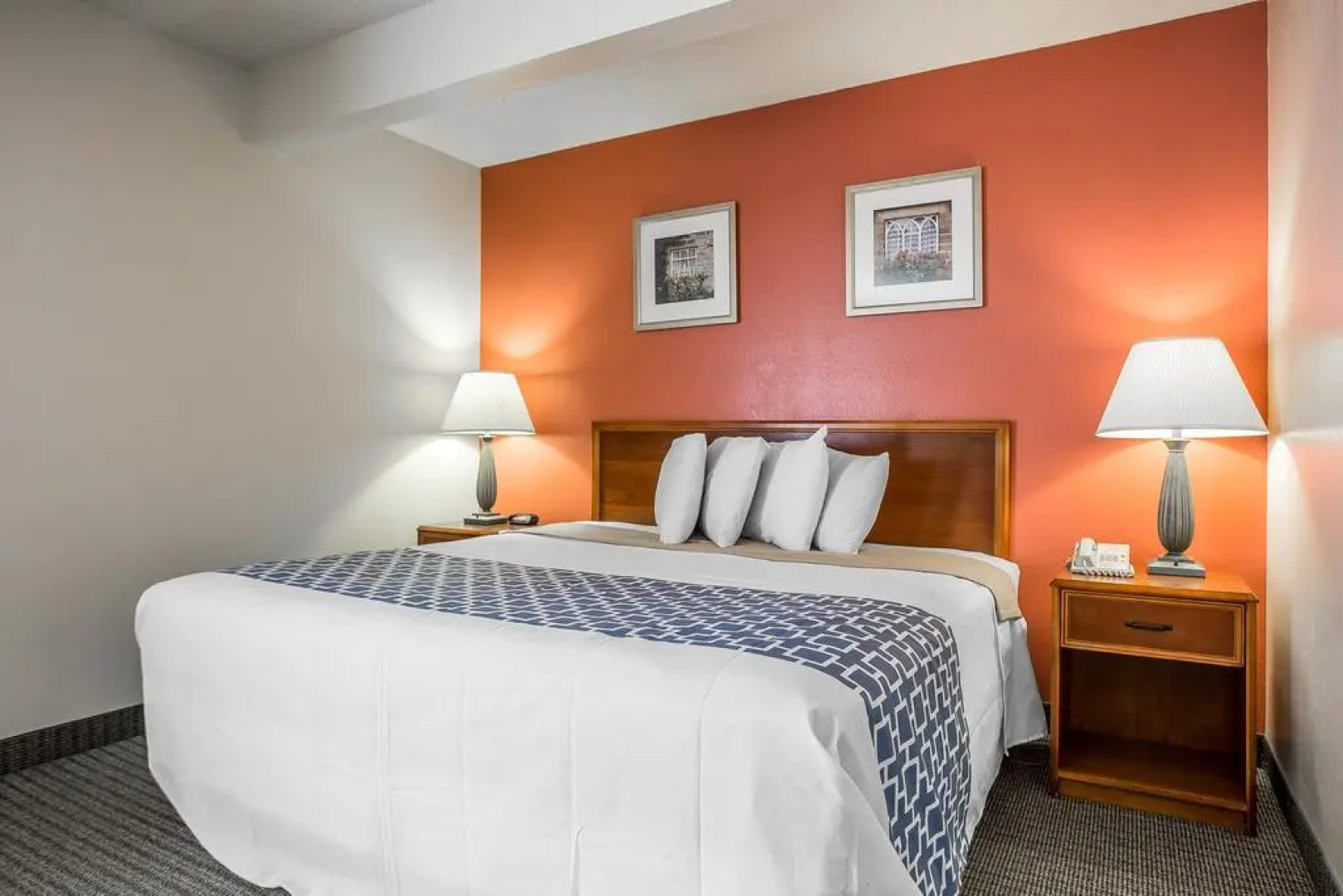 Cloverleaf Suites Columbia