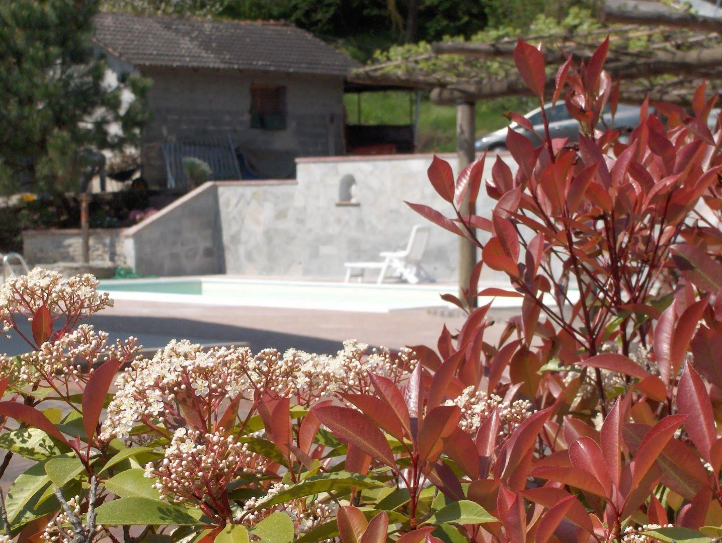 Affittacamere Cotorelle