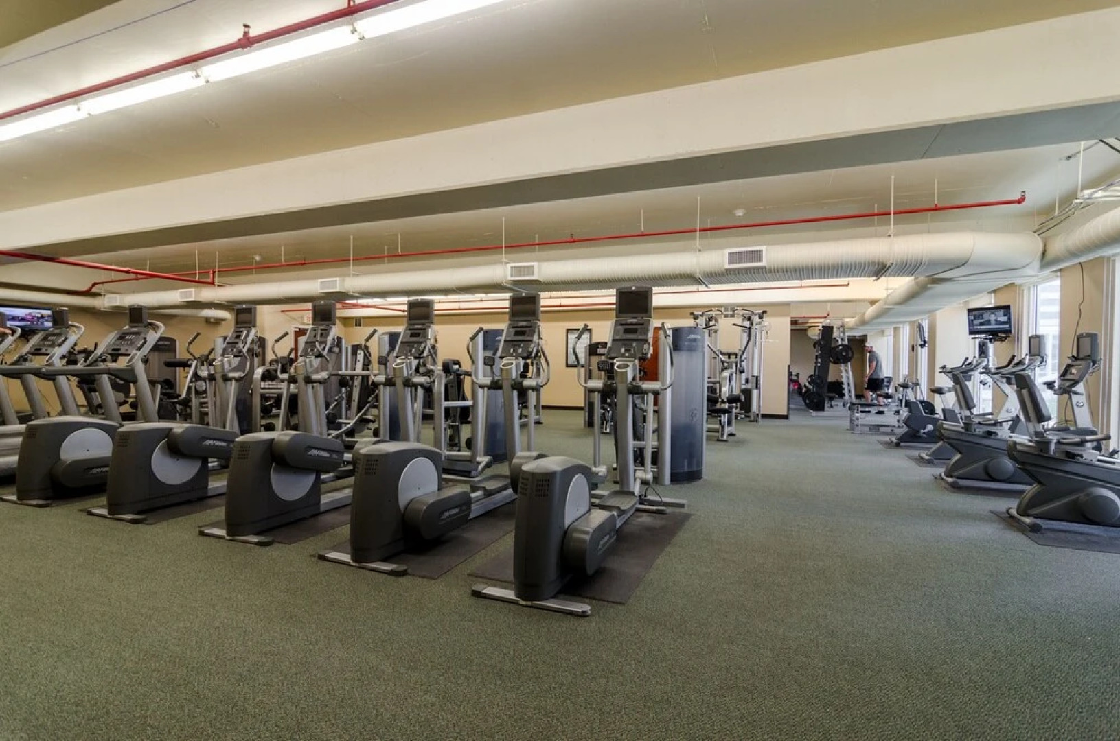 Majestic by Forehand Rentals