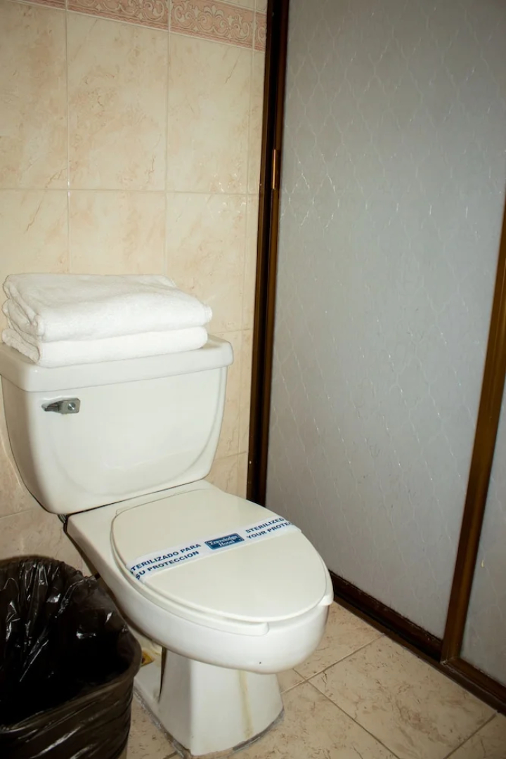 Hotel Obregon