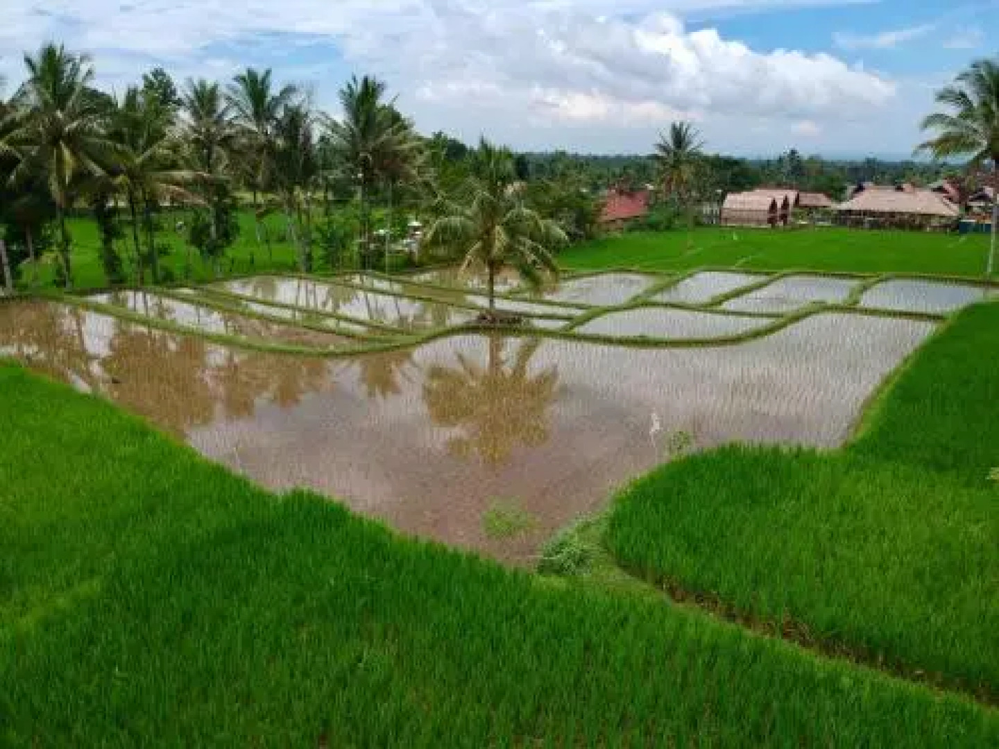 Pondok Indah Bungalows Tetebatu