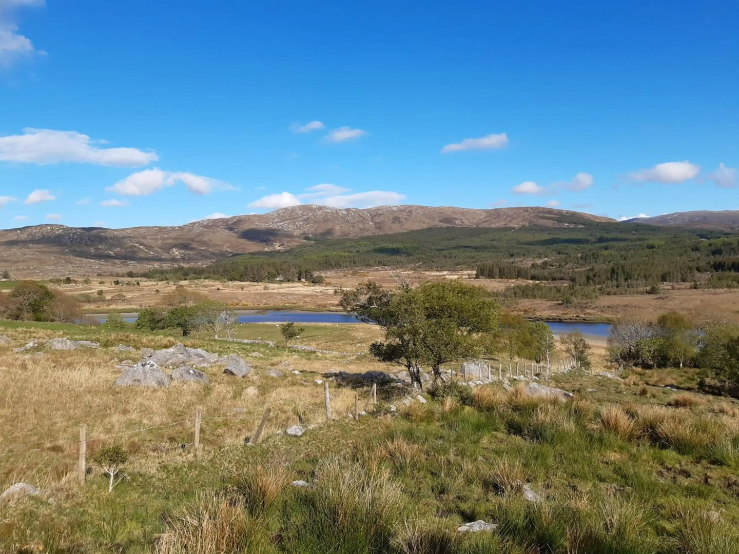 Beautifully Restored Cottage, Doochary