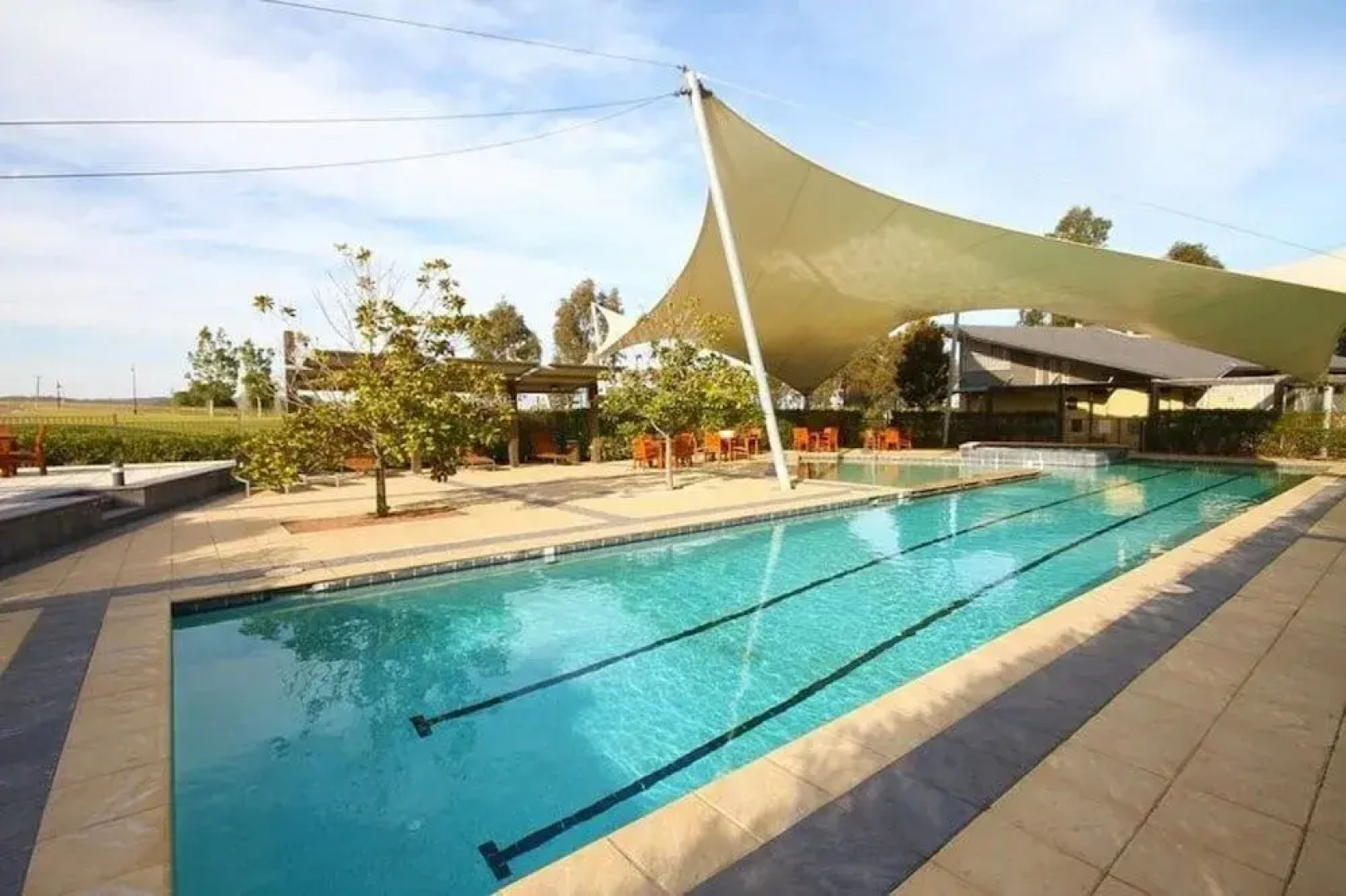 Gumnut Grove The Vintage