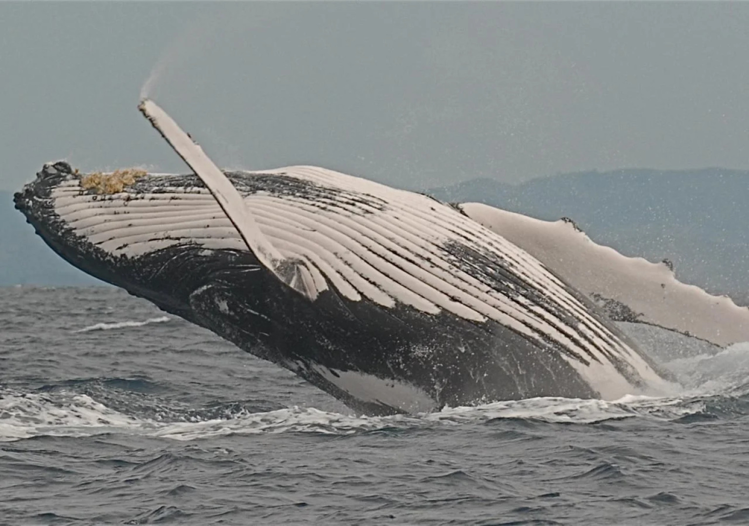 Princesse Bora Lodge & Spa