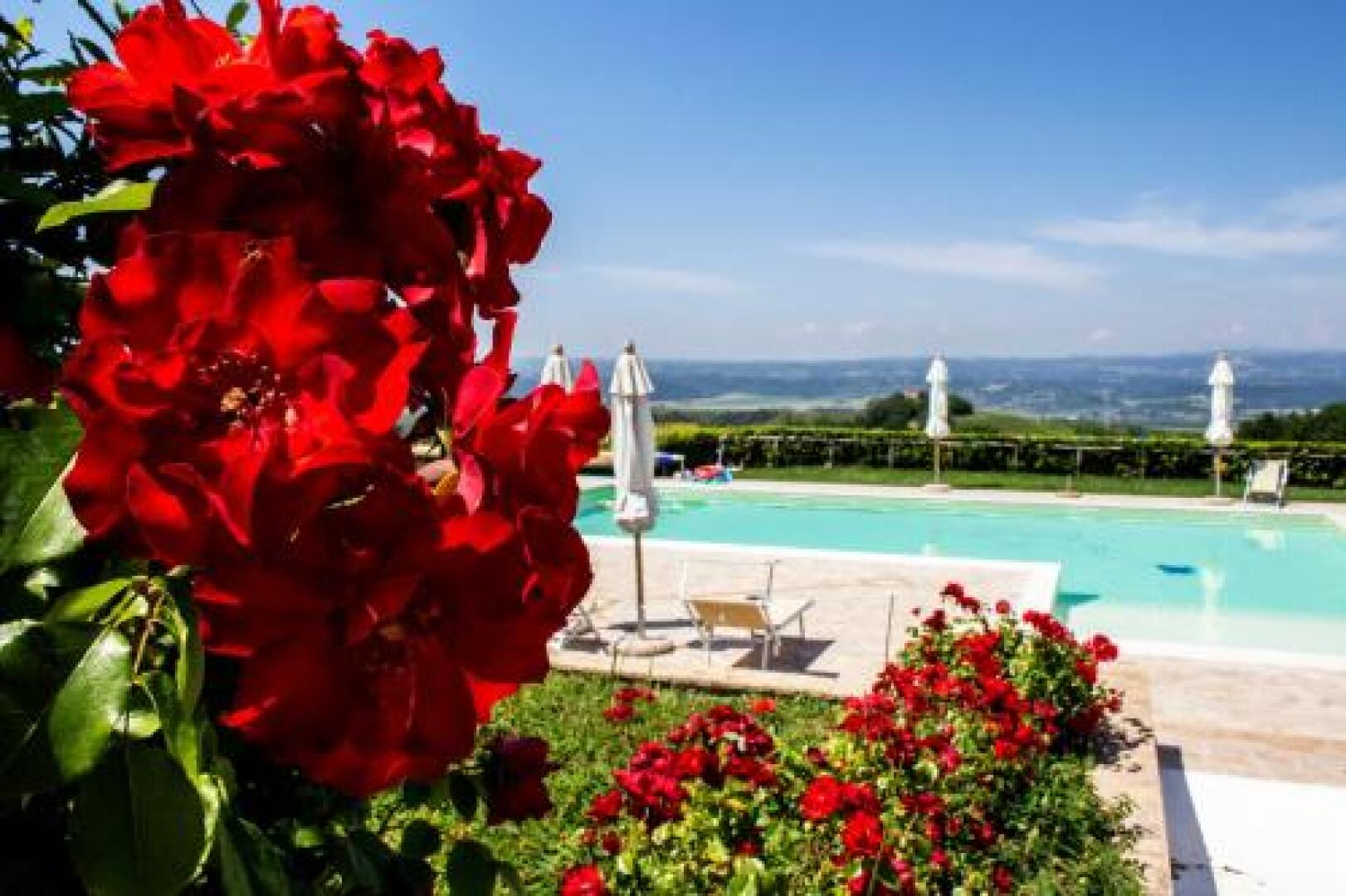 Poggio Del Bolognino