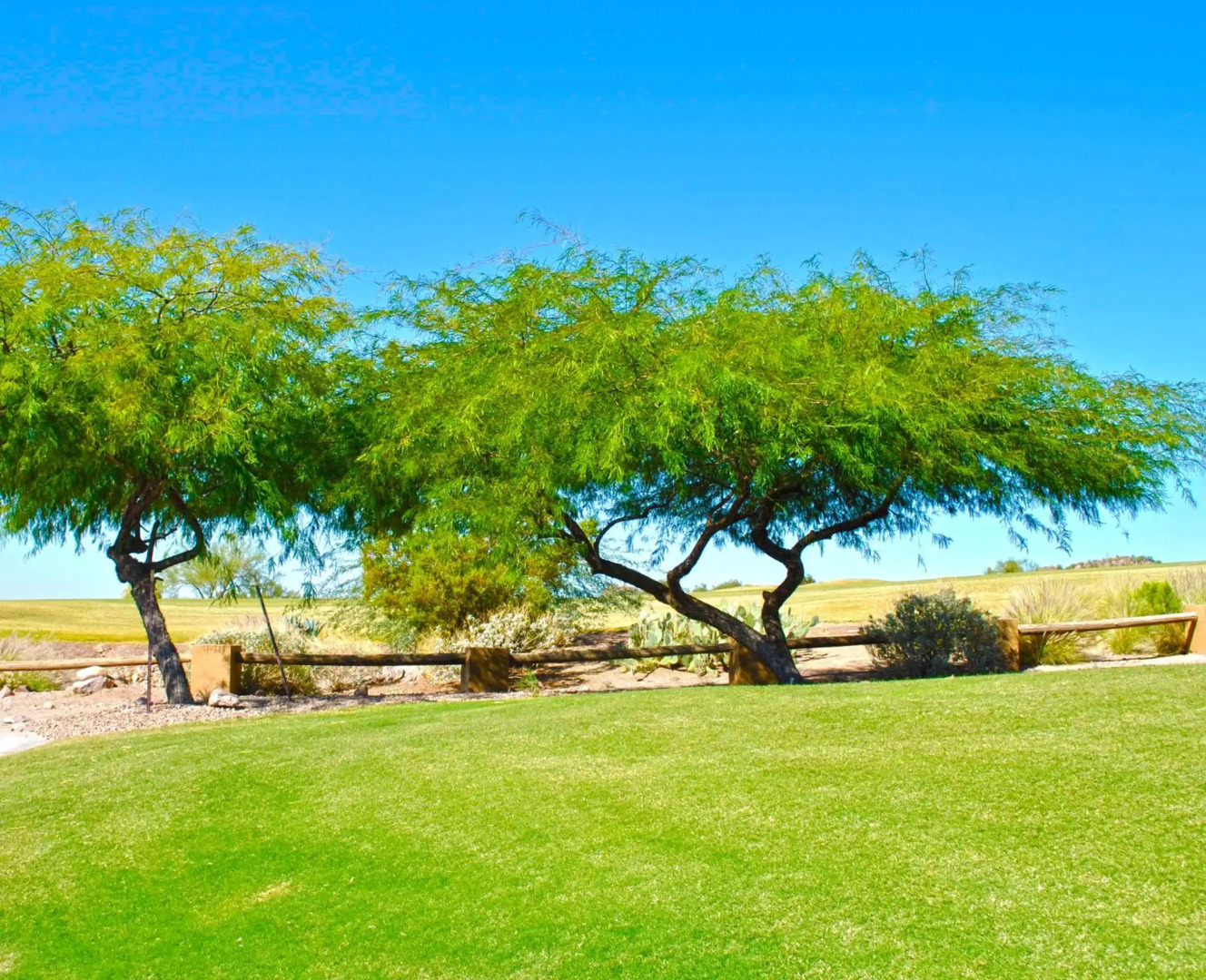 Gold Canyon Golf Resort & Spa