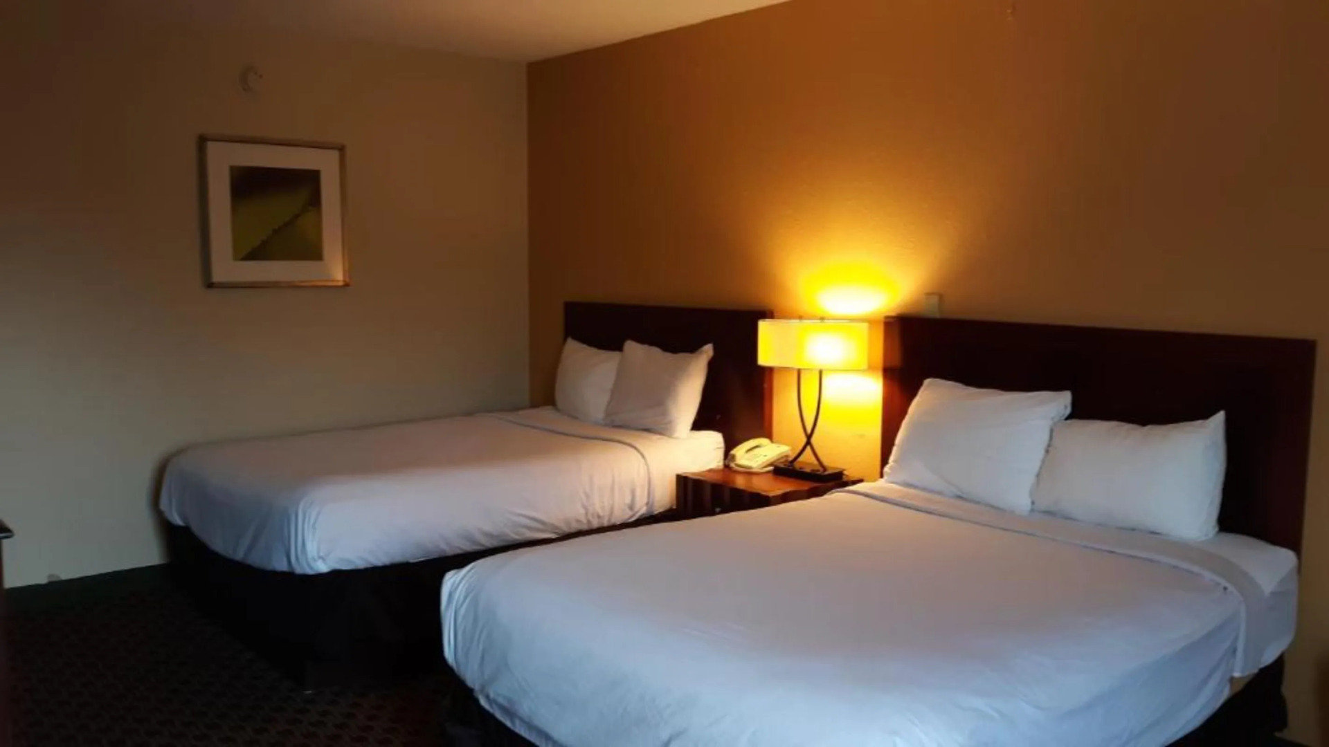 Quality Inn Historic East - Busch Gardens Area