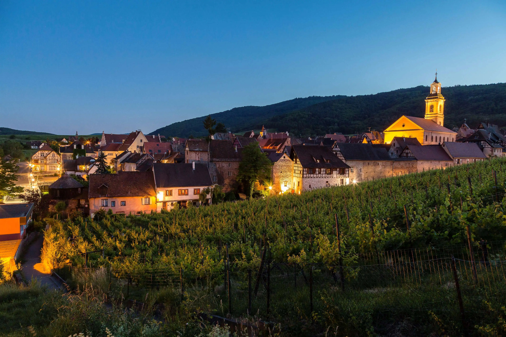 Best Western Plus Hotel & SPA Le Schoenenbourg