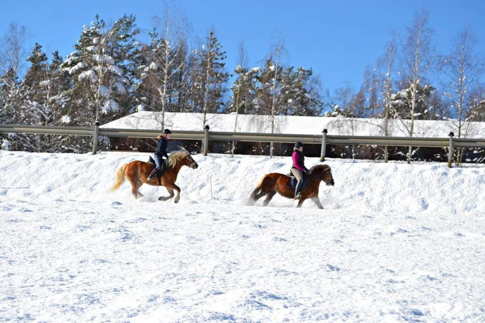Freizeitzentrum Römerhütte