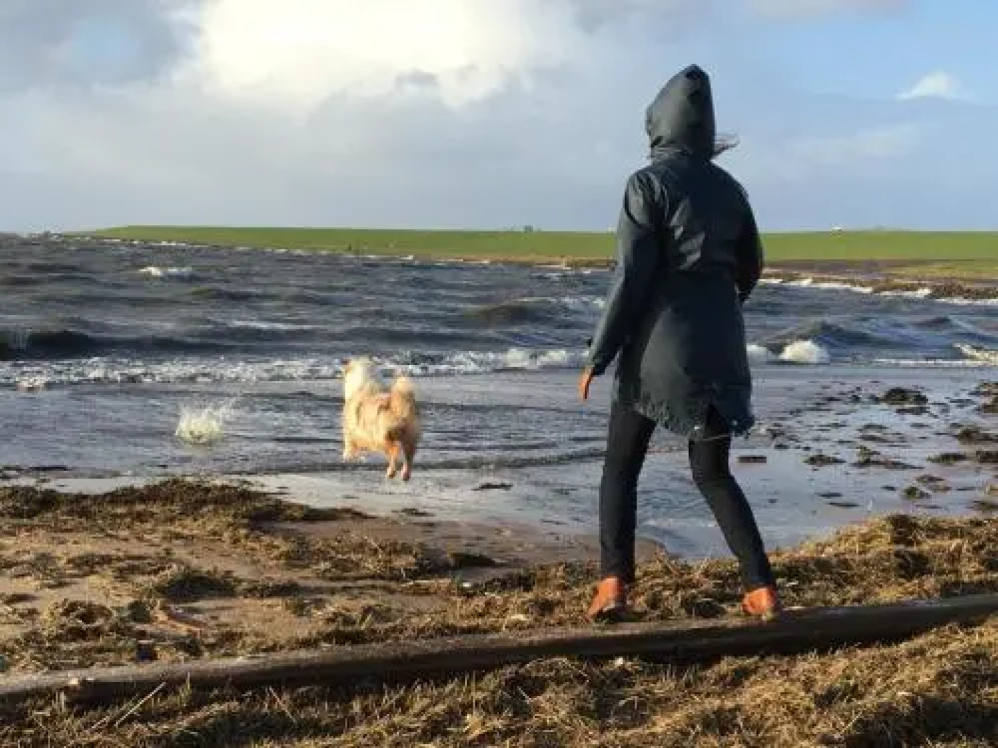 Reetdachhaus Deichkrone