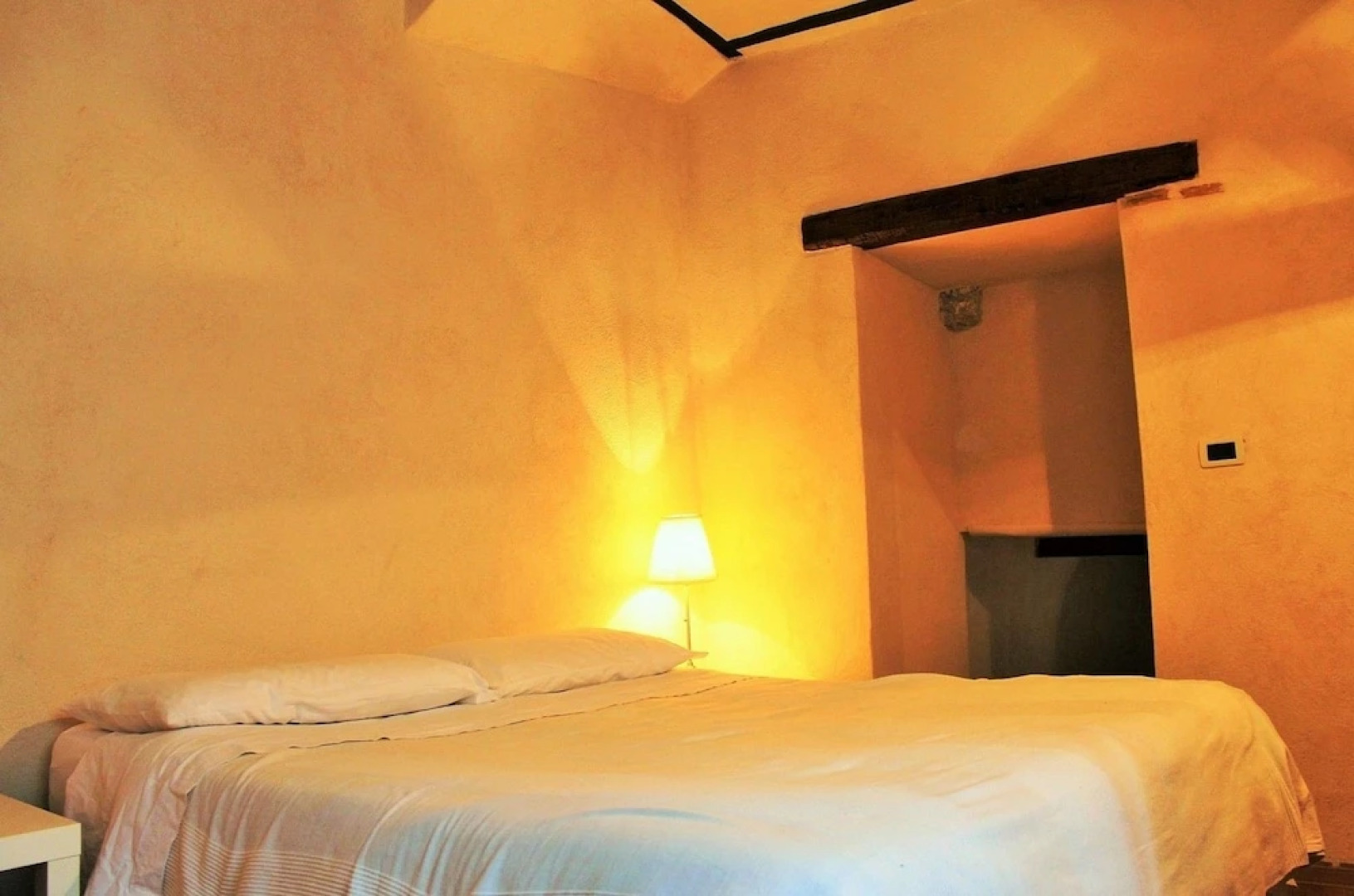 Volpe - Parco Nazionale d'Abruzzo