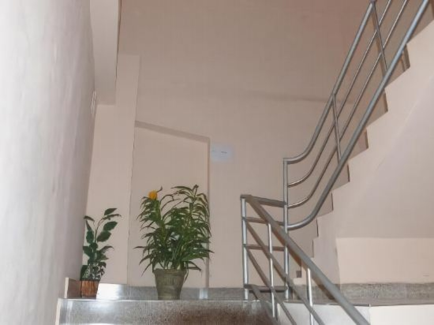 StarHostel