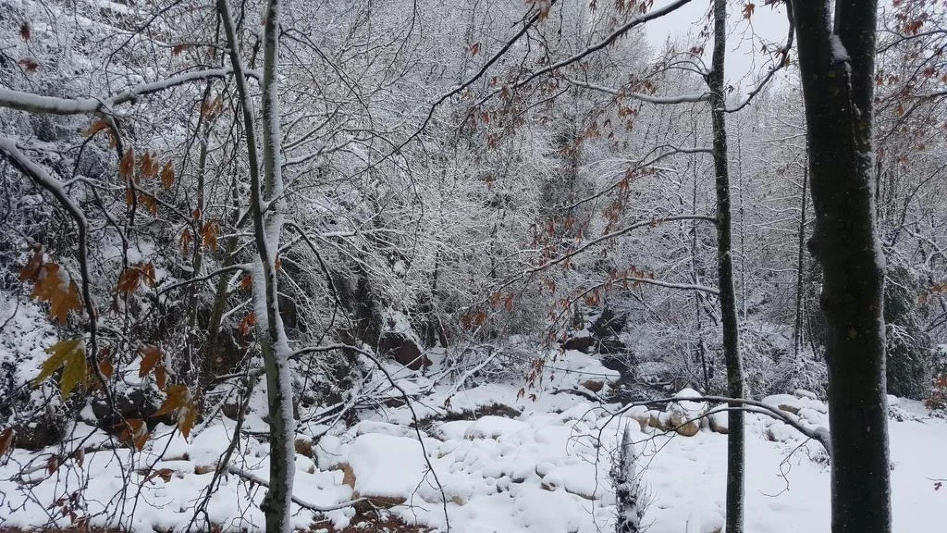 Restaurant And Motel El Rabih