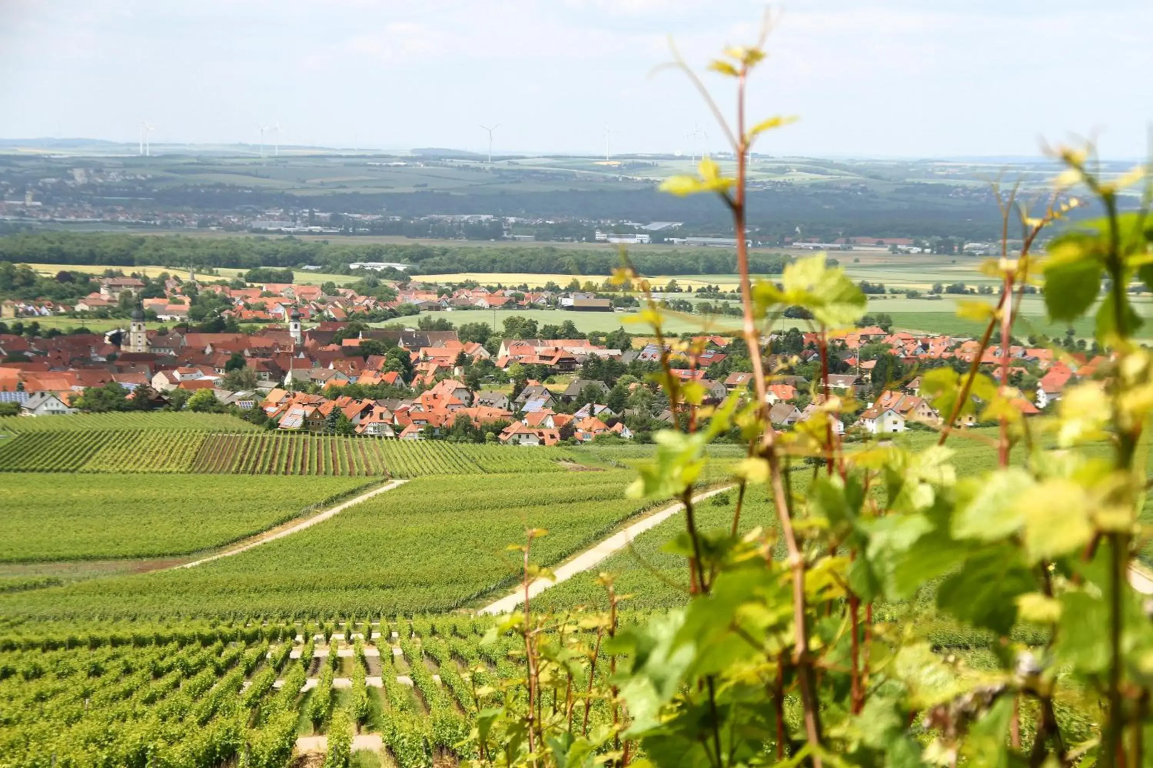 Gasthof zum Rödelseer Schwan