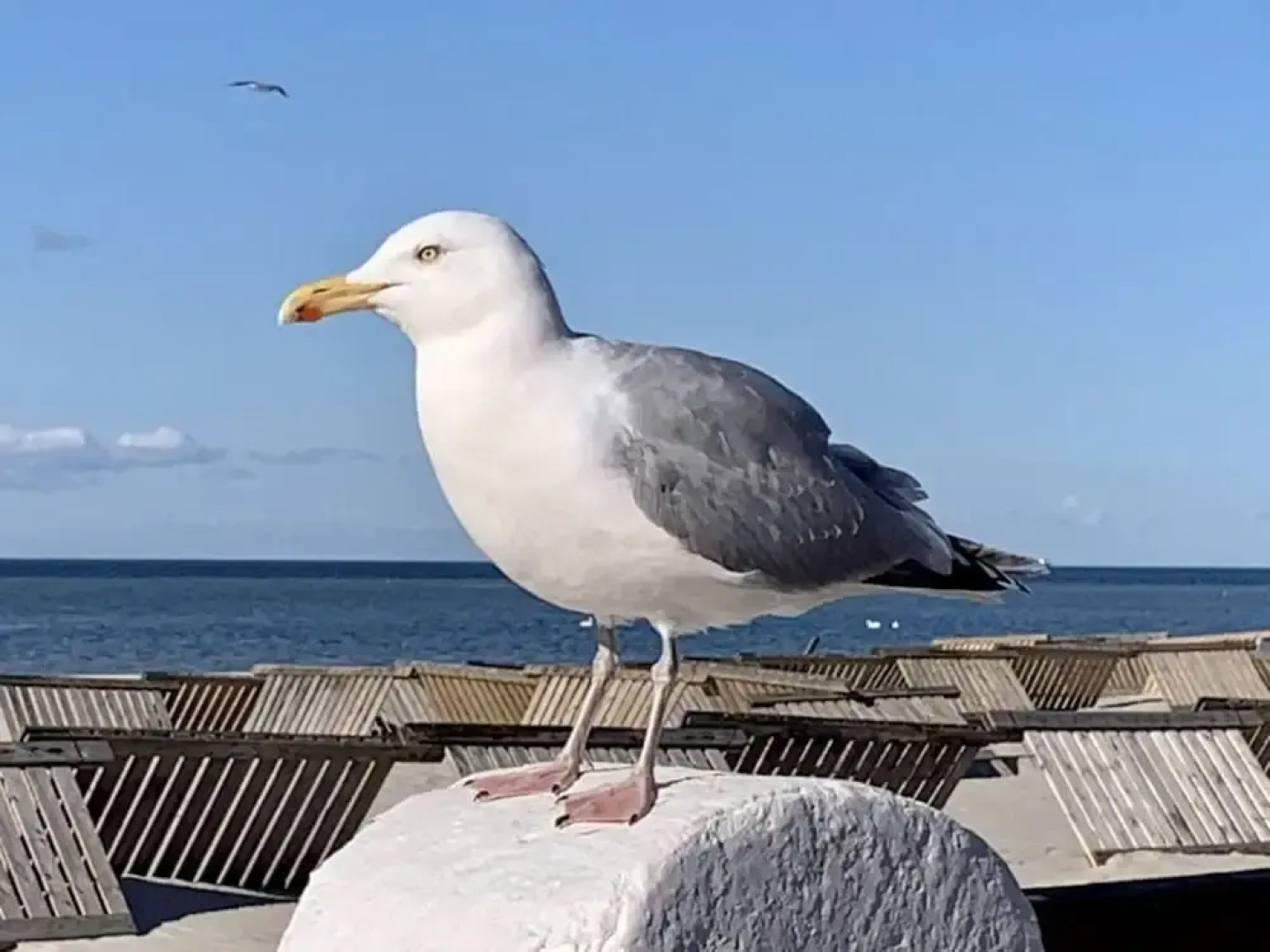 Holiday Apartment Lust auf Laboe