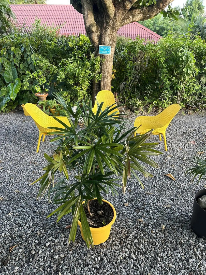 Villa de 2 chambres avec vue sur la mer piscine privee et jacuzzi a Saint Pierre