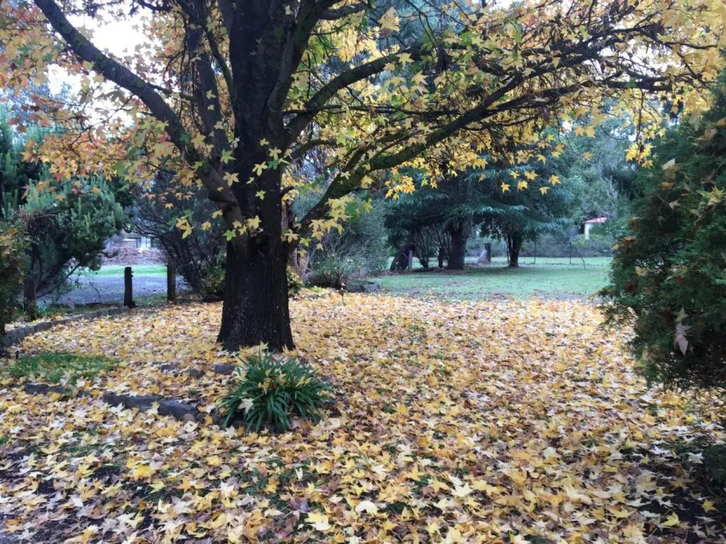 The Rocks Apartments