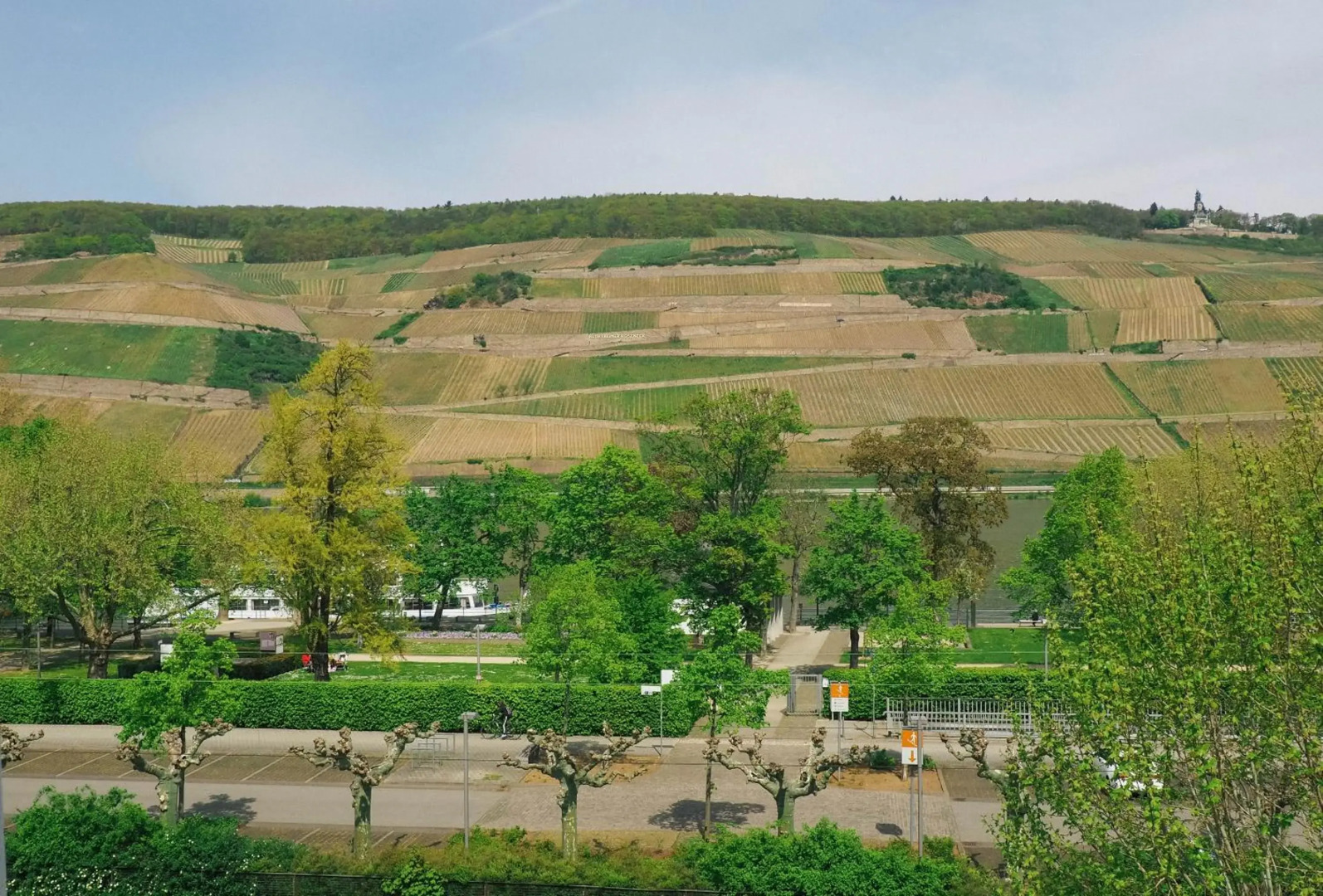 Rheinufer am Hindenburgpark