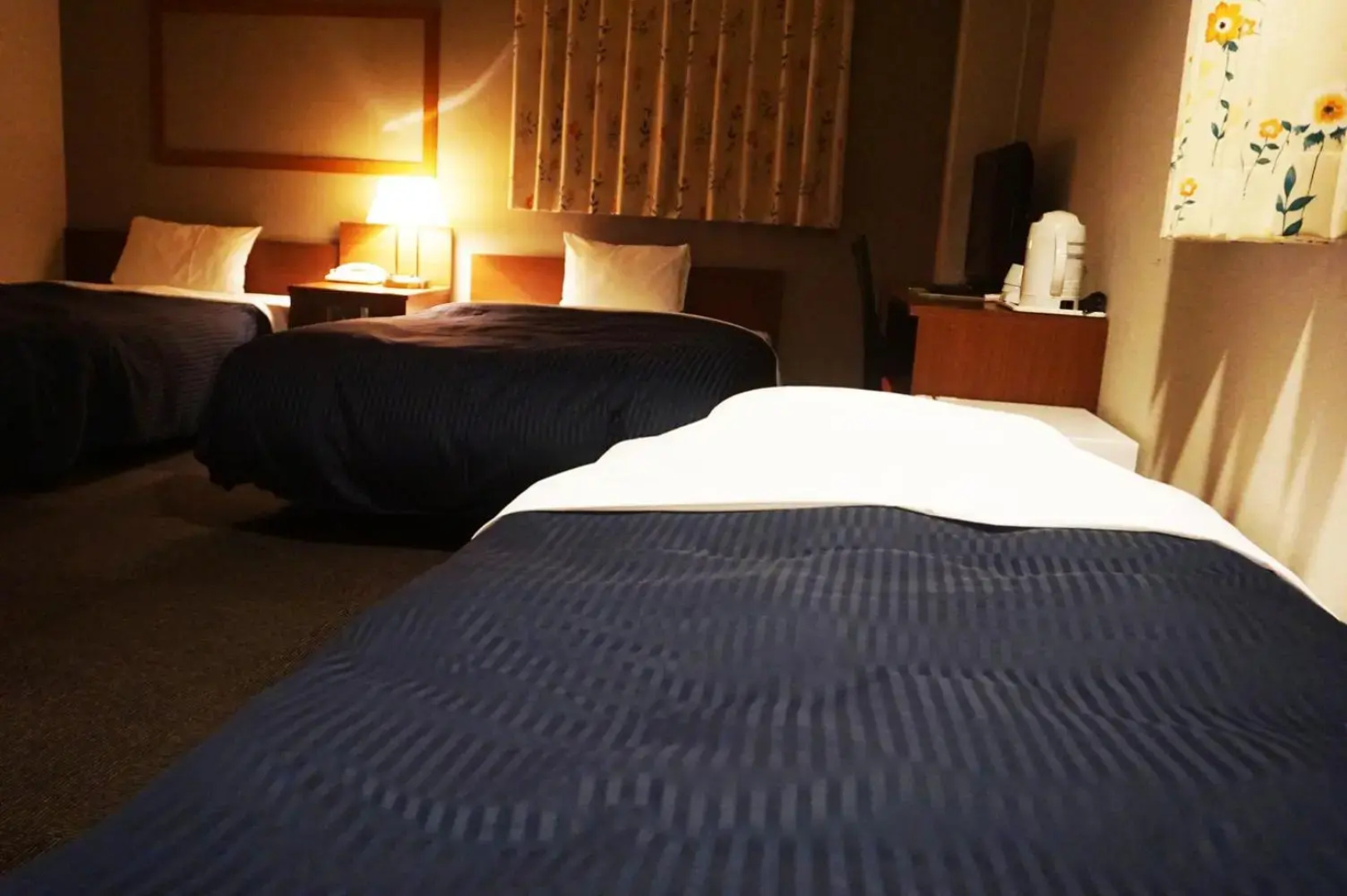 Hotel The Next Kanku