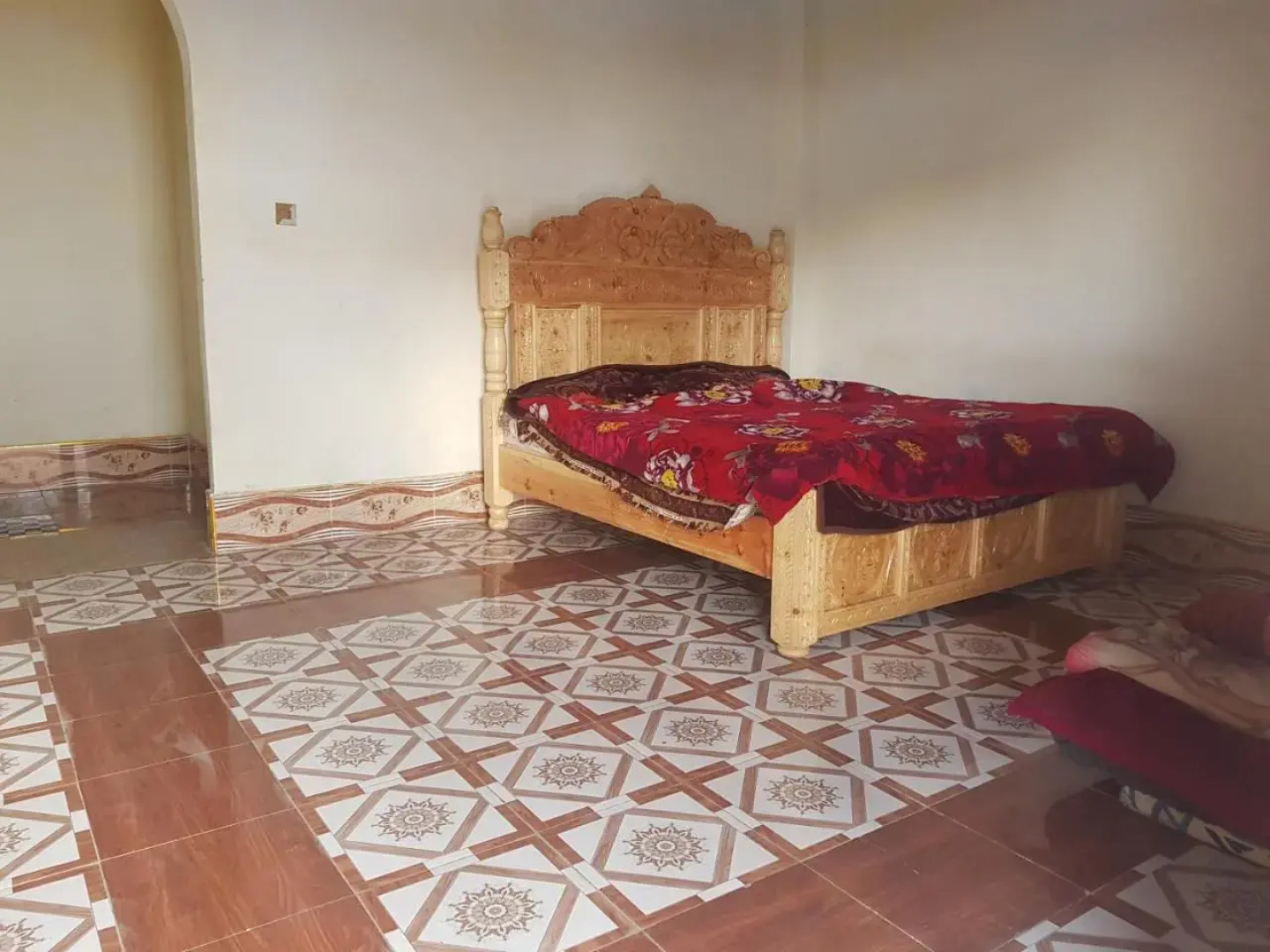 Peace Continental Malamjabba