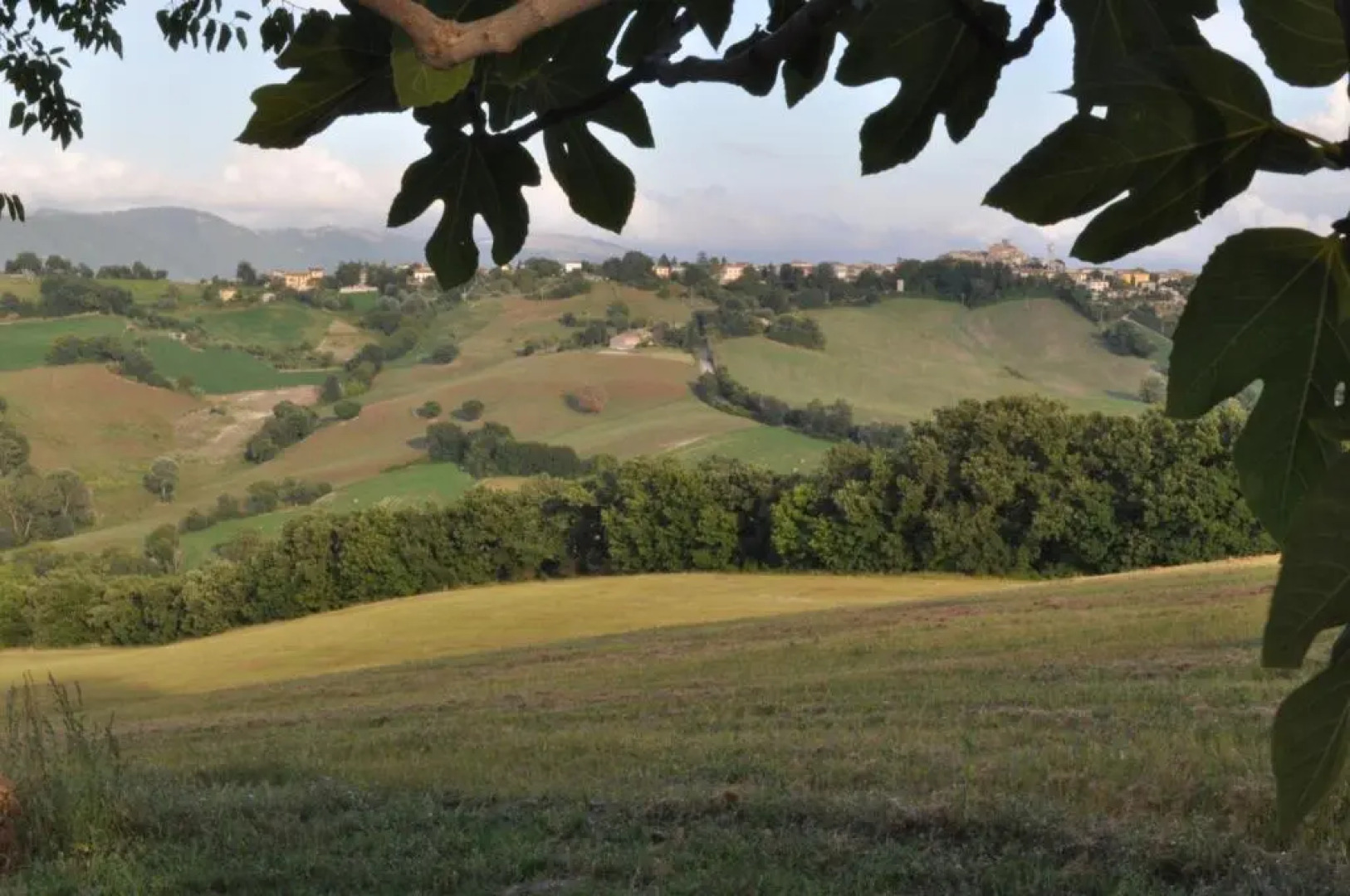 Il Granaio di Colle Vichinano