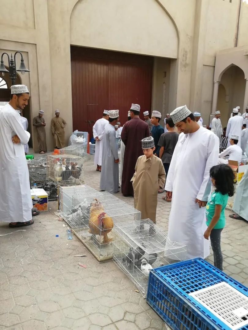 Nizwa City Apartment