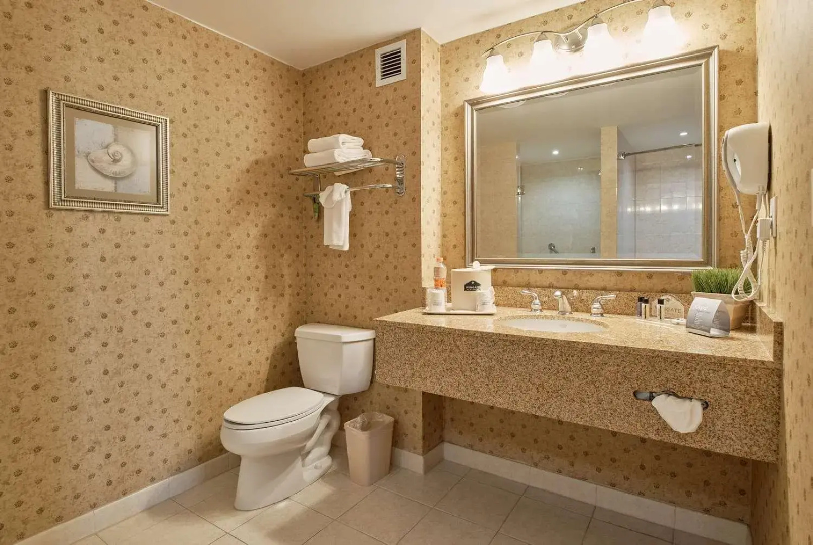 Wingate By Wyndham Chihuahua