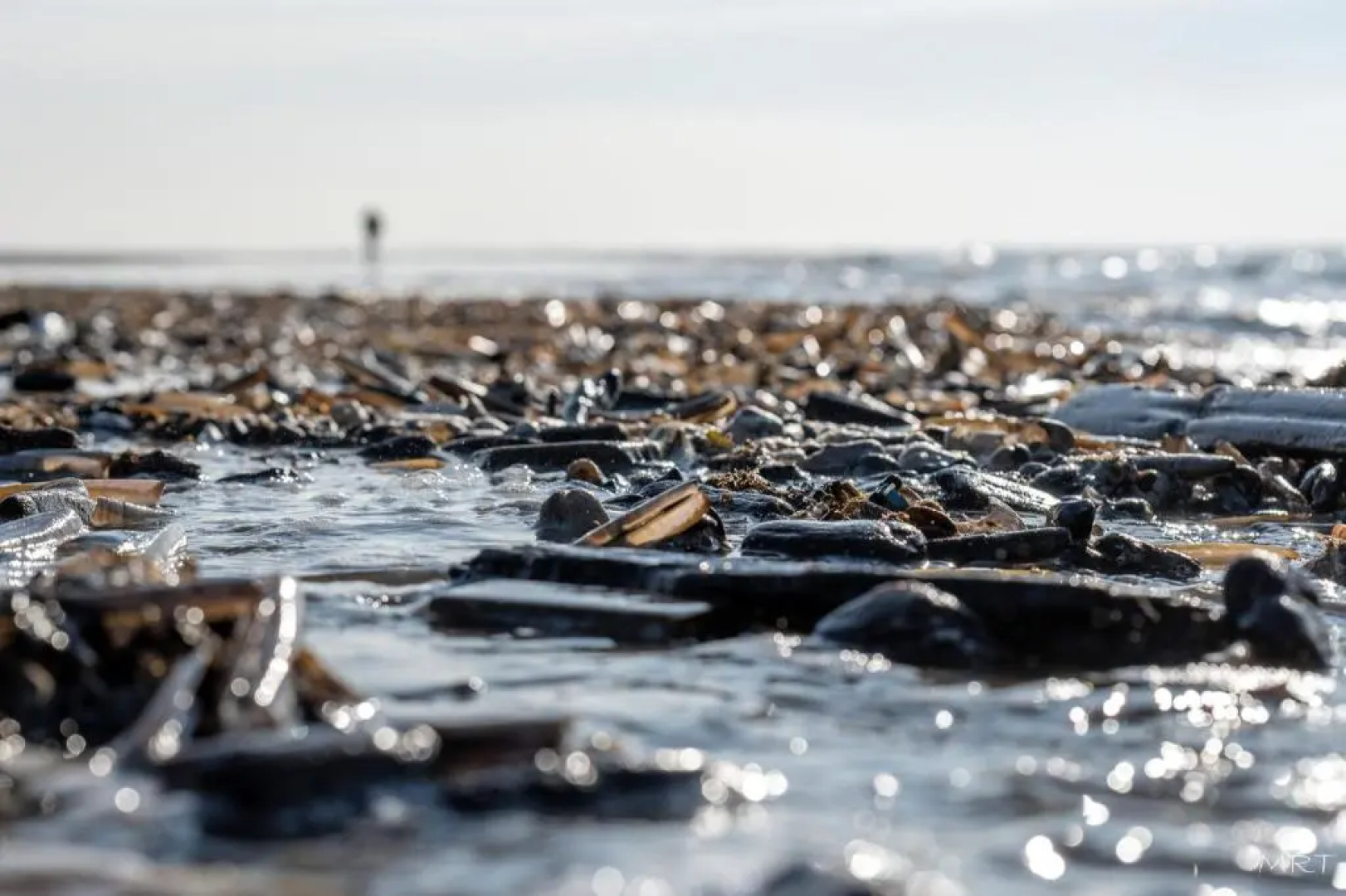 Hotel Steeds aan Zee