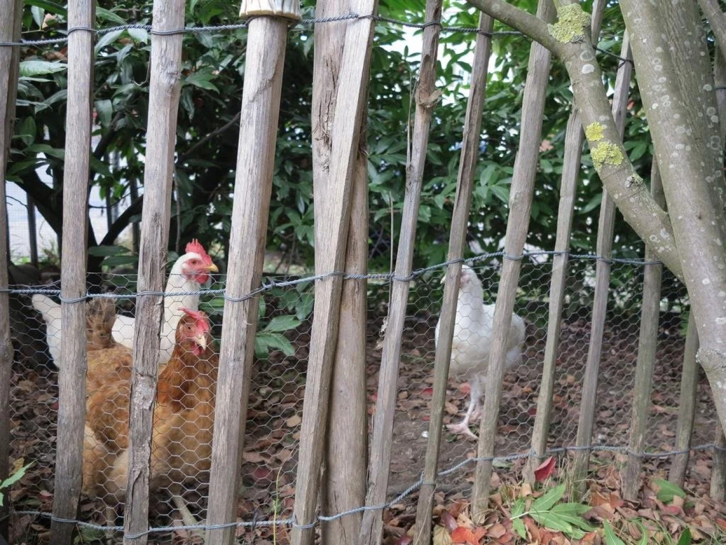 Schöni Sache Atelier Shop BnB