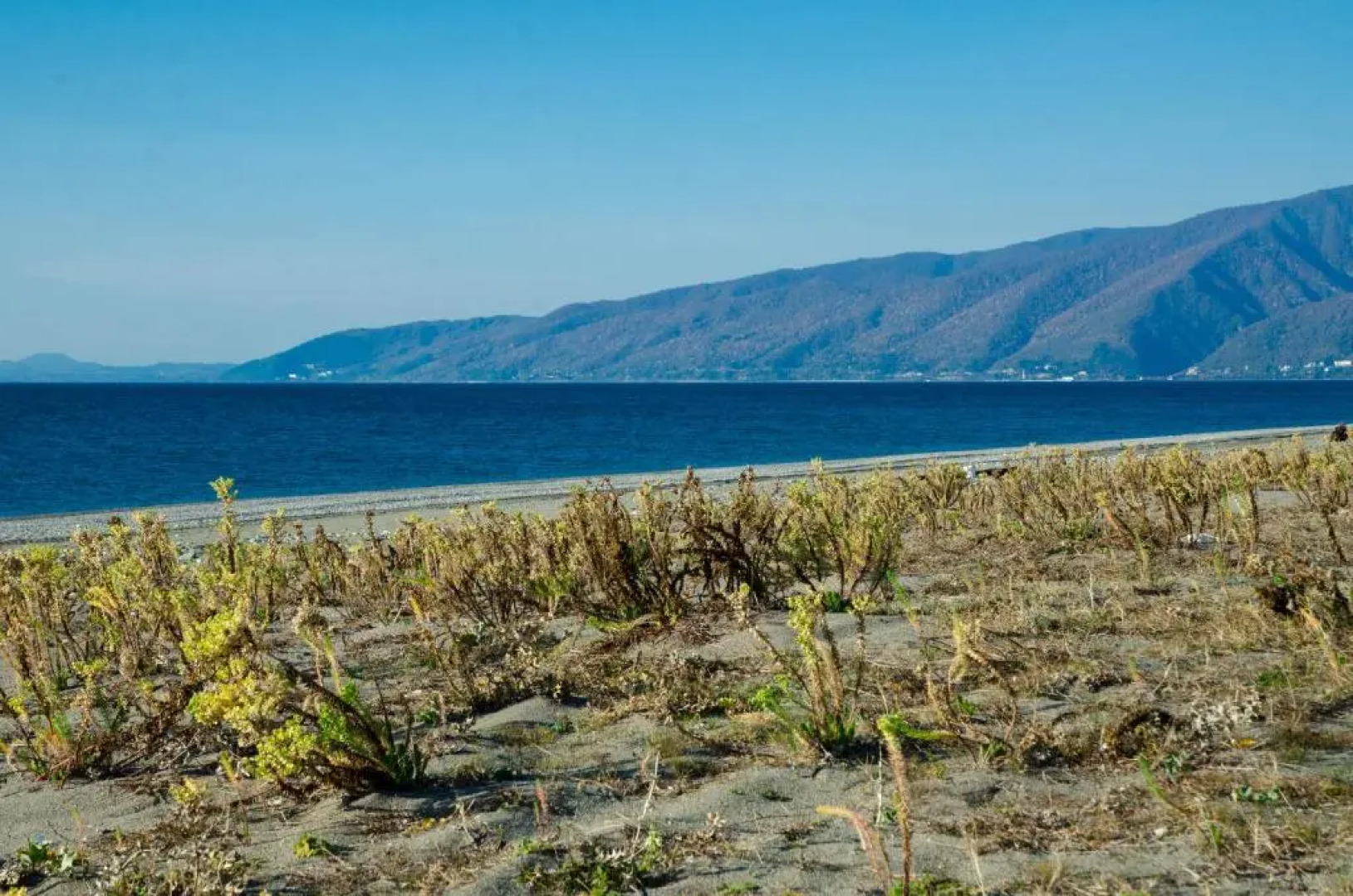 Гостевой дом Тория