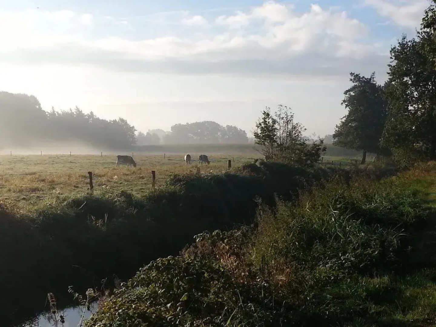 Auehof Hotel & Restaurant