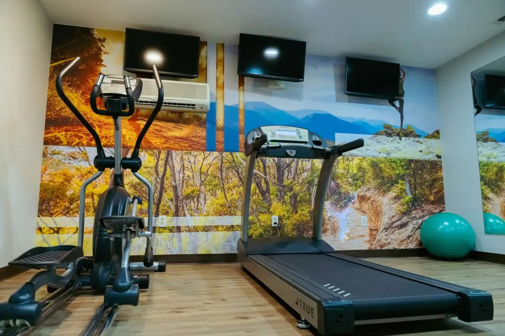 Clarion Pointe-Dillard near Blue Ridge Mountains