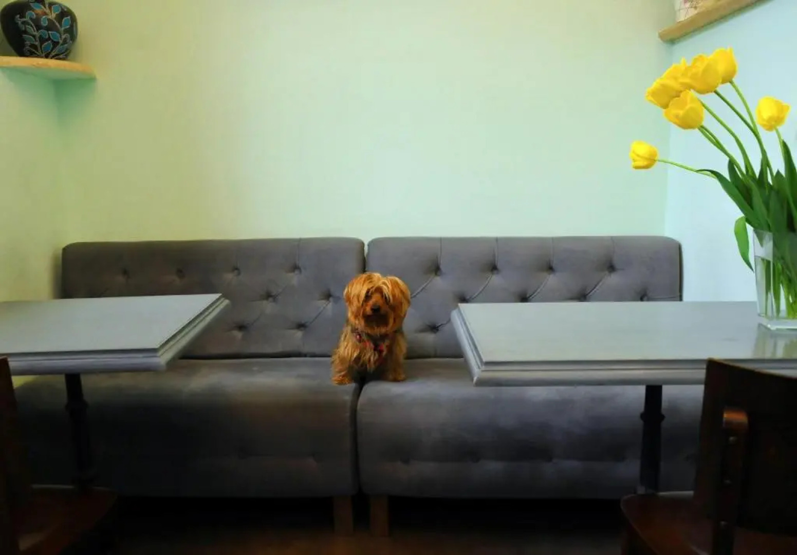 Хостел и турагентство MGA