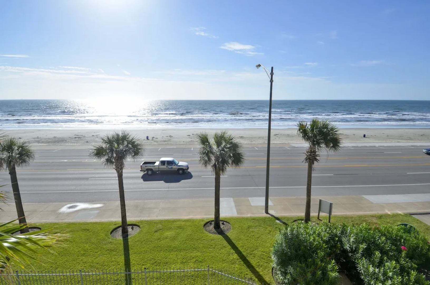 The Regal Seagull by RedAwning