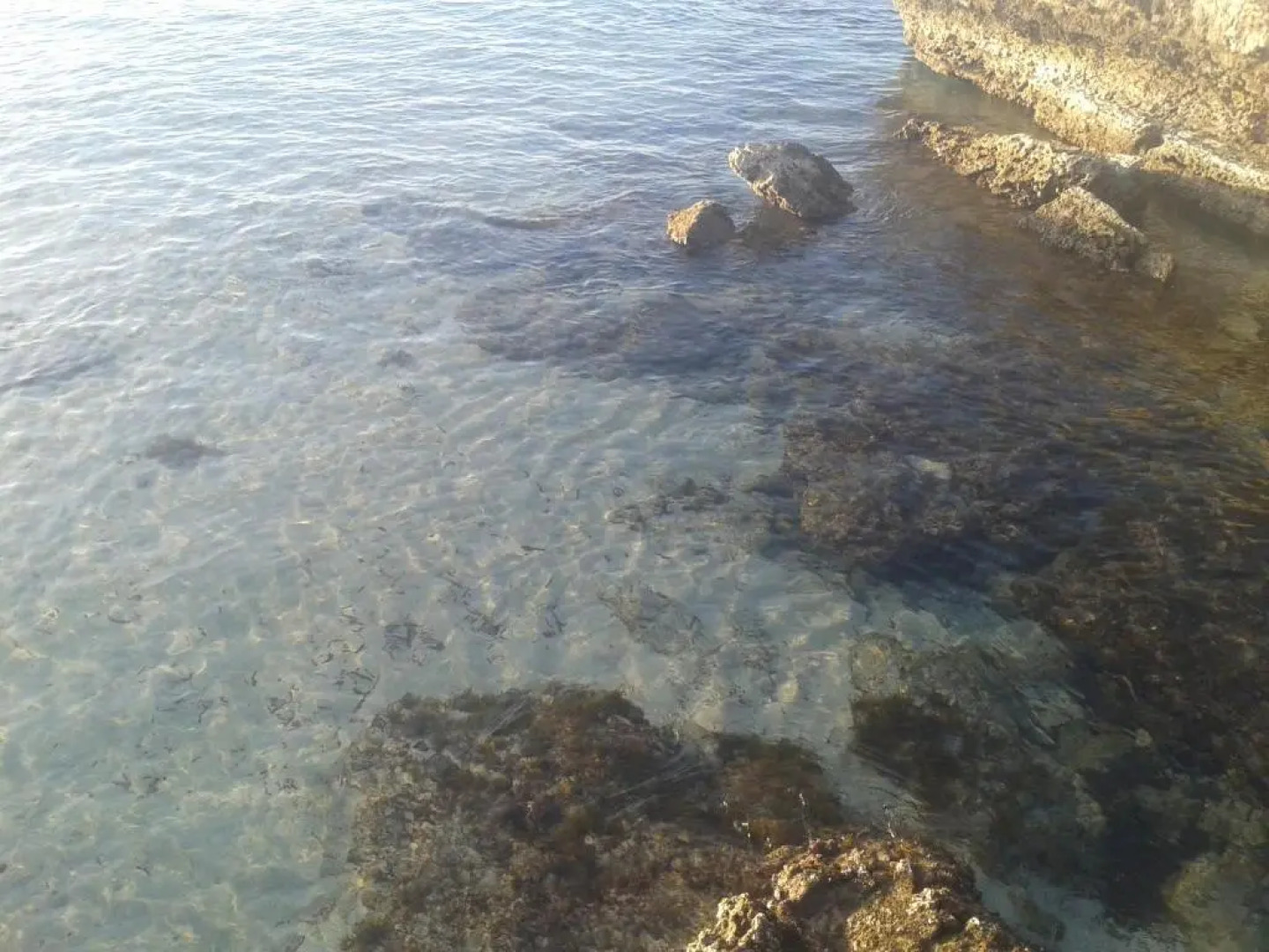 Casa Vacanza Fiorella