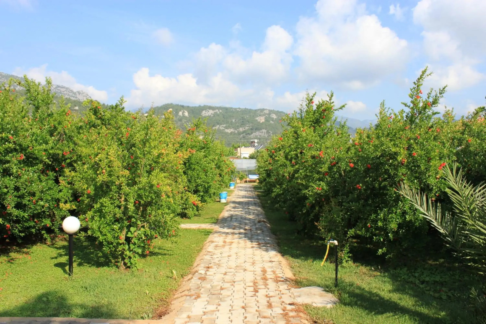 Yildiz Pension Bungalows