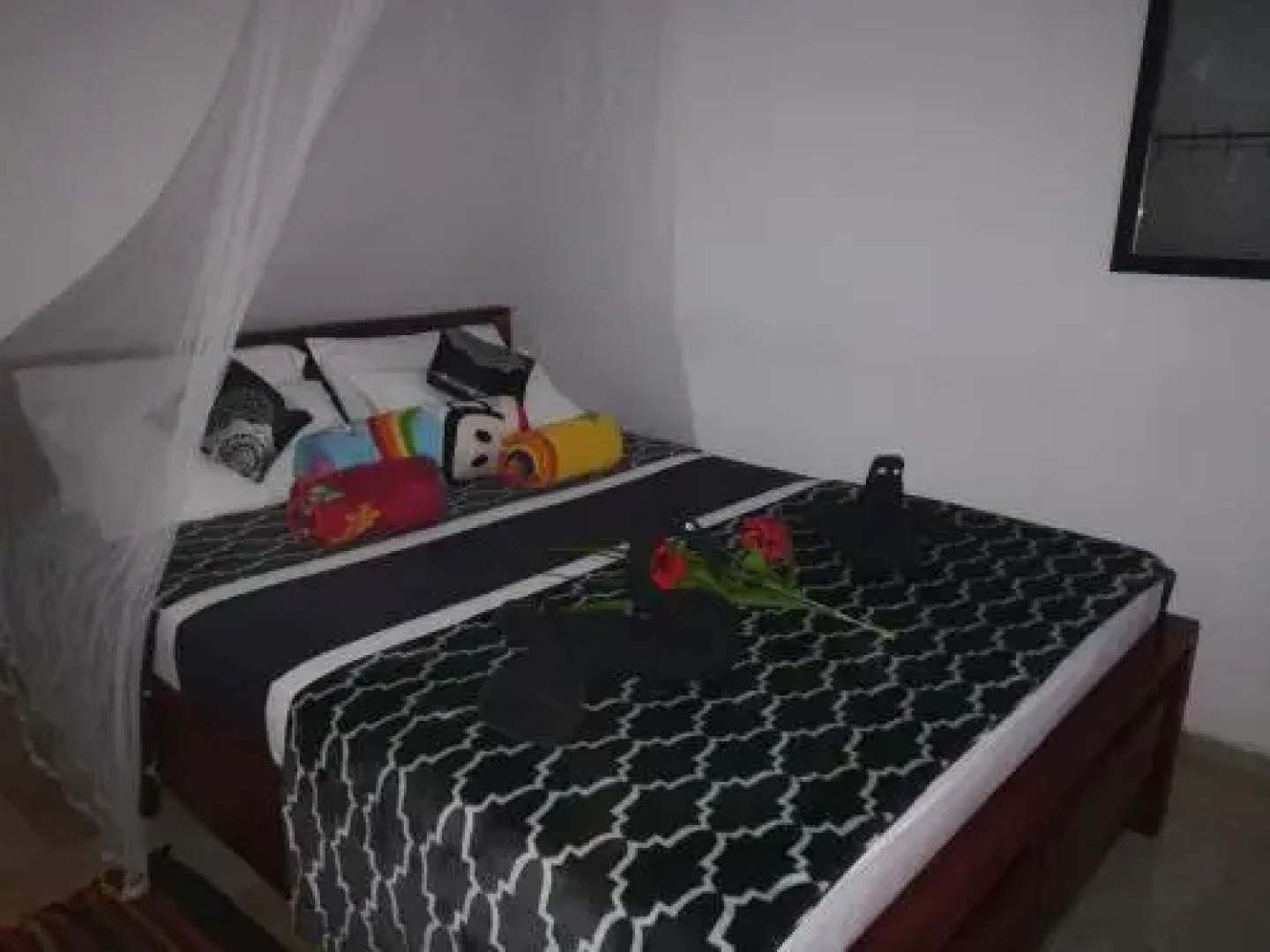 White Monkey Dias Rest