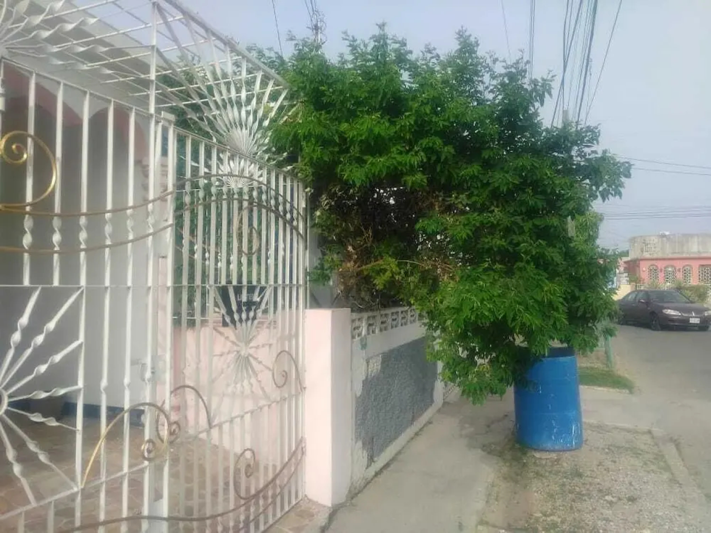 Wile Kane Rental