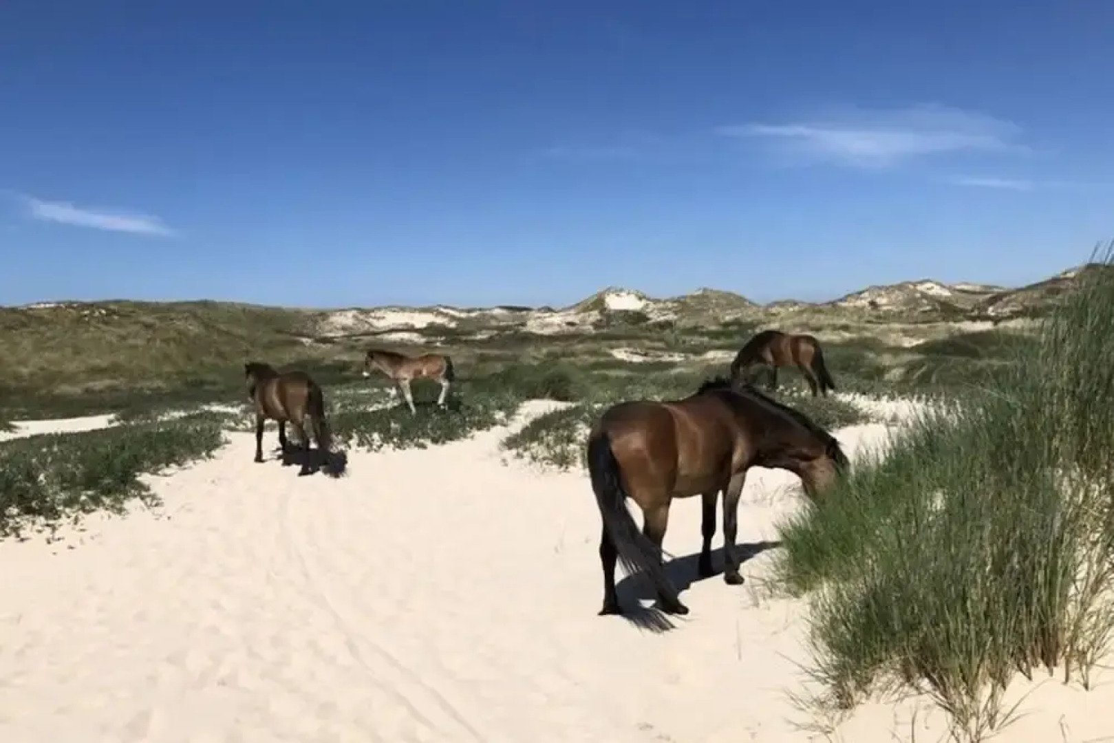 Holiday Home Klein Geluk