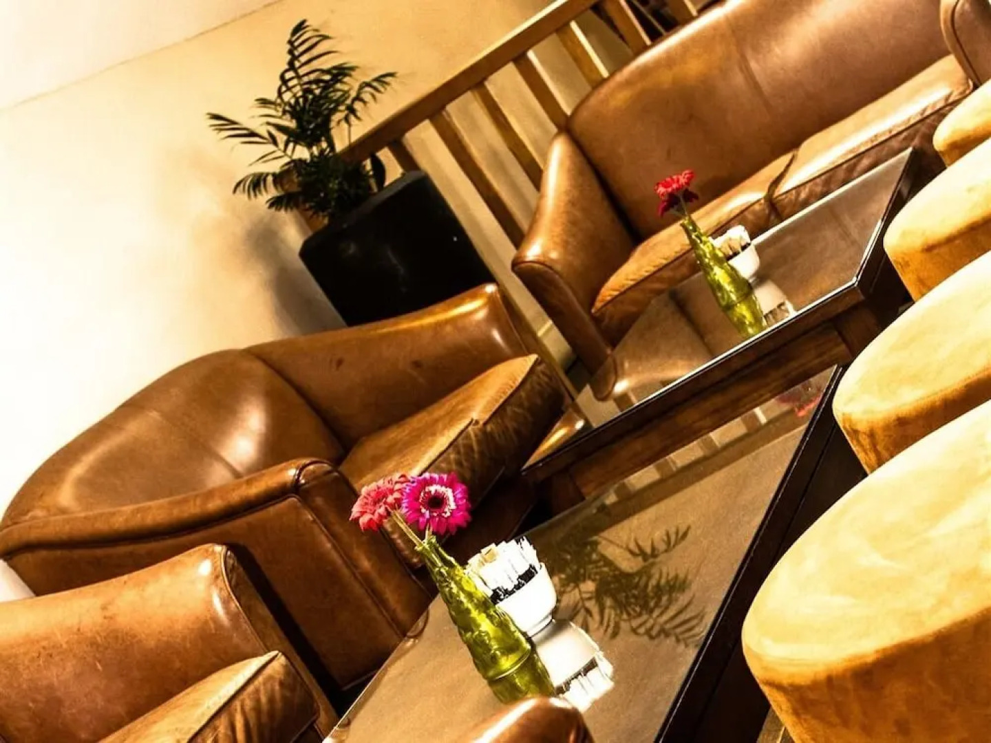 The Lodge At Winchelsea