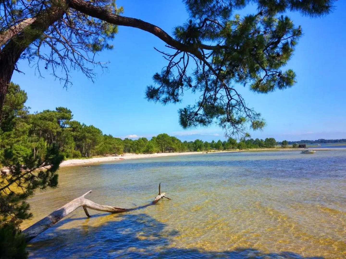 Mobilandes Sanguinet