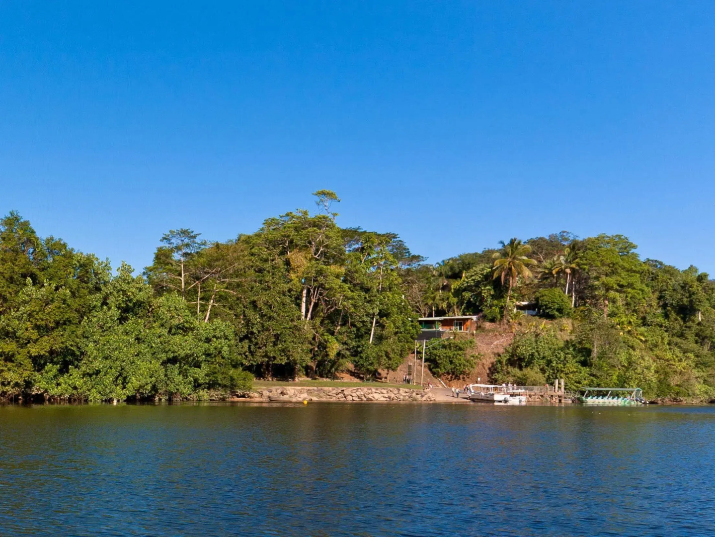 Daintree Riverview Lodges