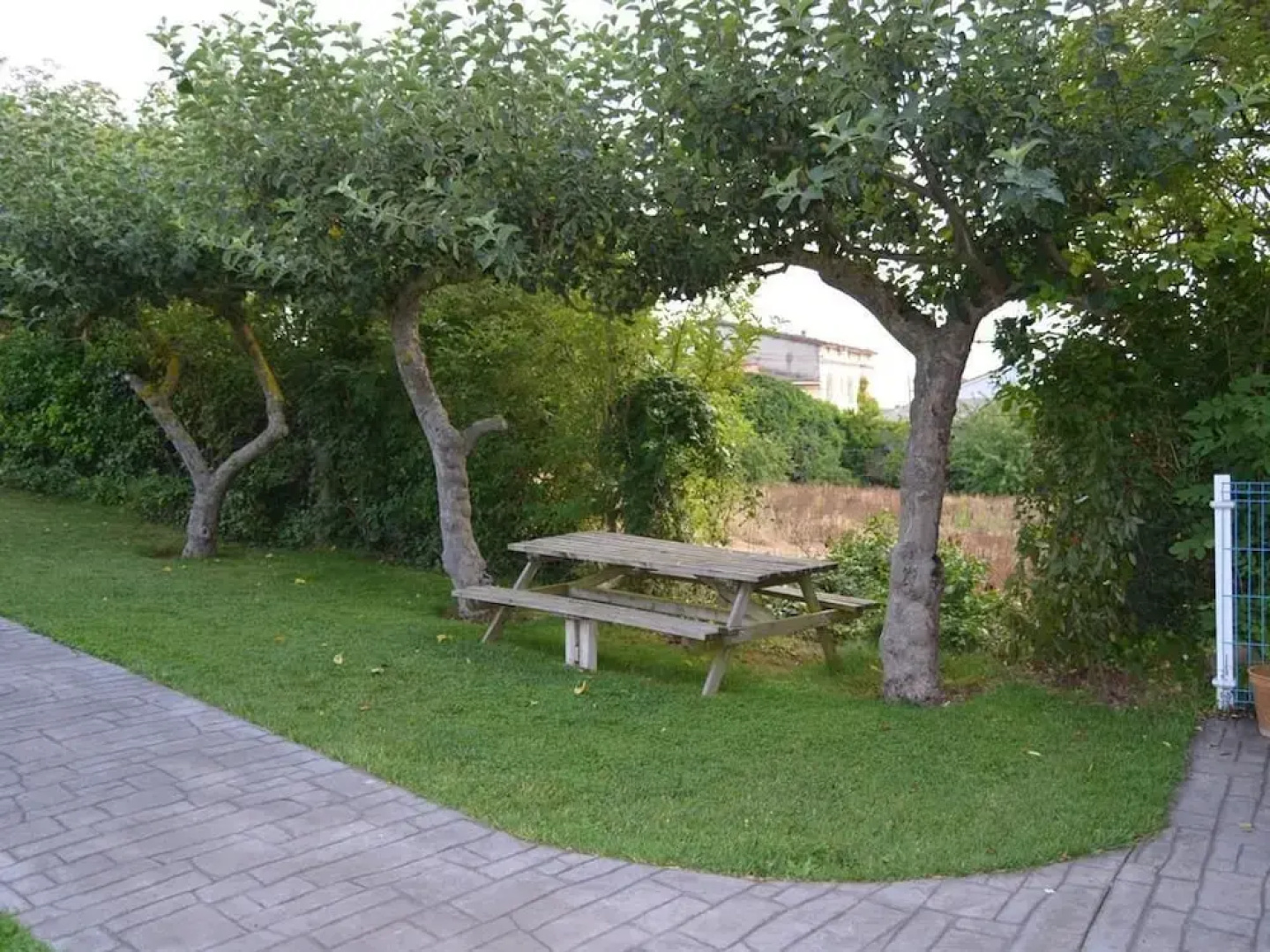 La Peinada